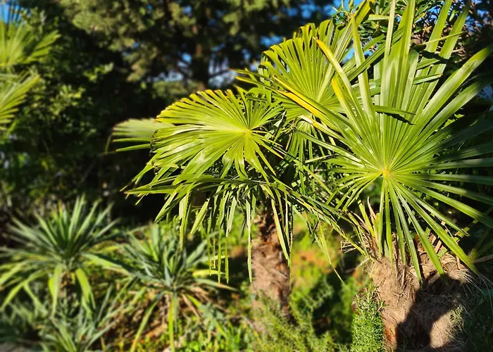 度假居 Botanica House Krk *